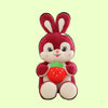 Adorable Plush Rabbit with Juicy Strawberry Companion