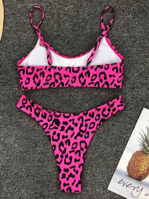 Leopard Plunge Neck Top With Panty Bikini Set