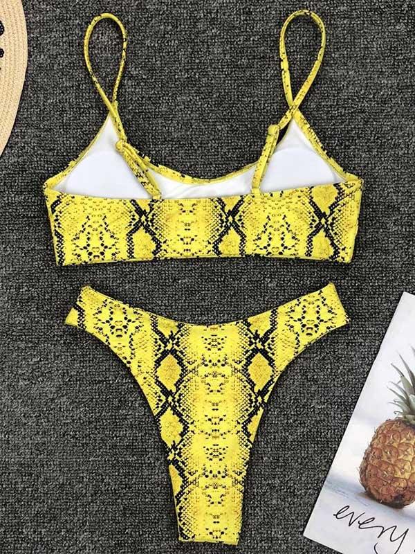 Leopard Plunge Neck Top With Panty Bikini Set