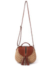 Handmade Tasseled Straw Plaited Article Bohemia Bag