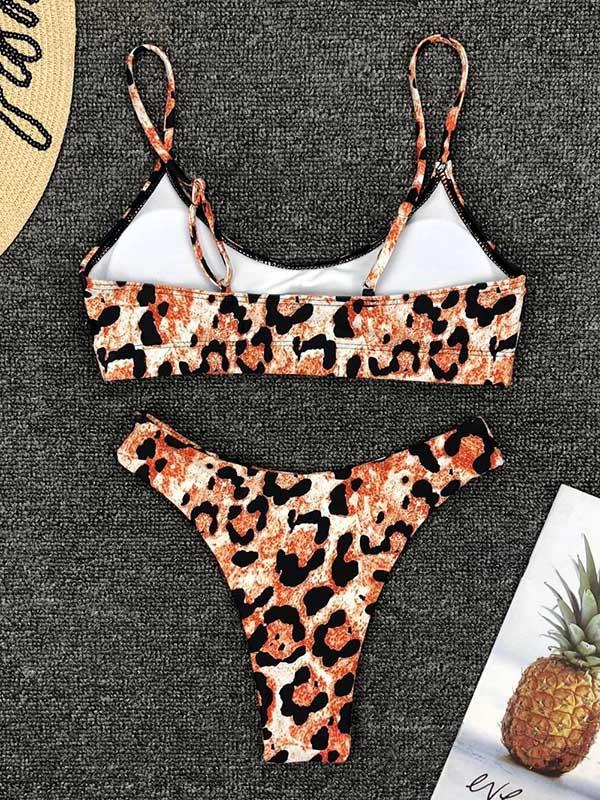 Leopard Plunge Neck Top With Panty Bikini Set