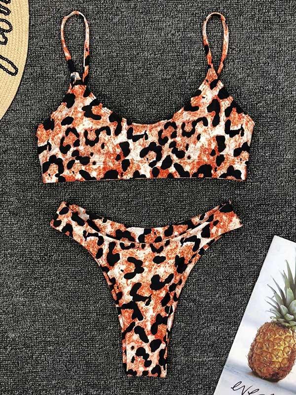 Leopard Plunge Neck Top With Panty Bikini Set