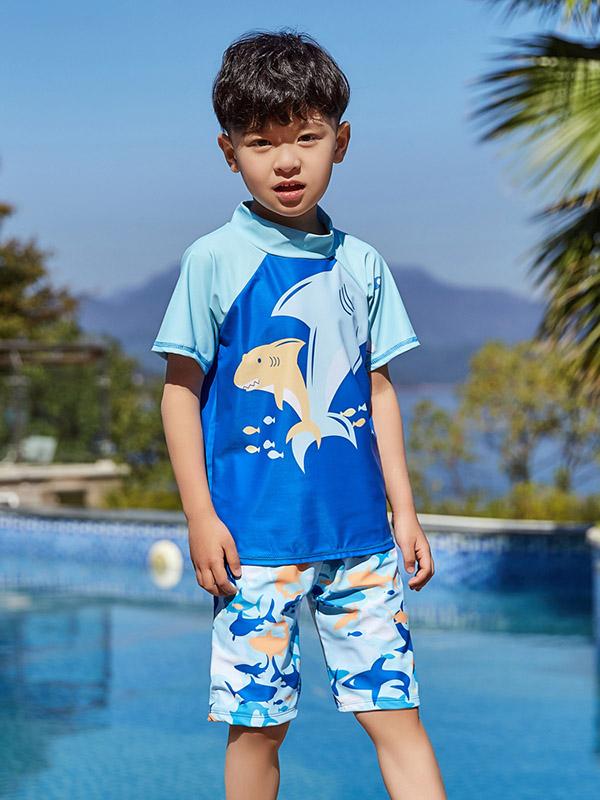 AONIHUA Short Sleeves Two Piece Boy Swimwear