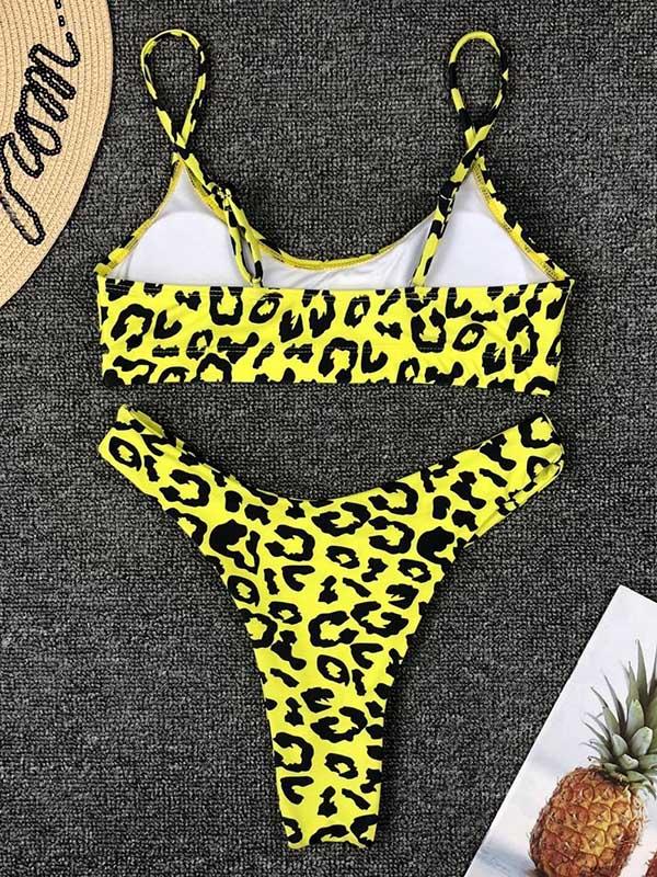 Leopard Plunge Neck Top With Panty Bikini Set