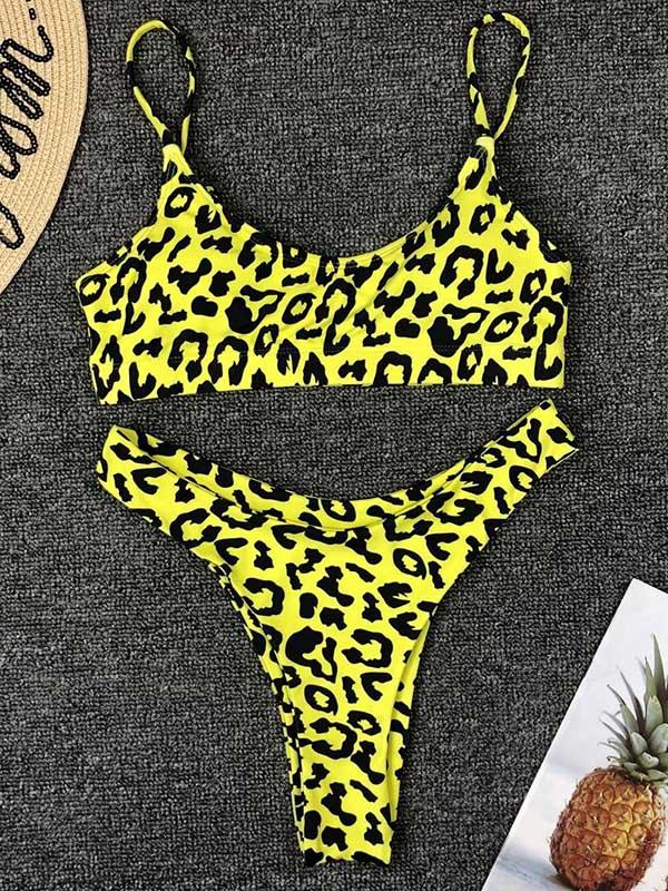 Leopard Plunge Neck Top With Panty Bikini Set